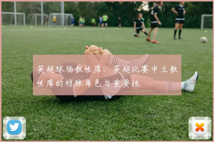 英超球场教练席：英超比赛中主教练席的特殊角色与重要性