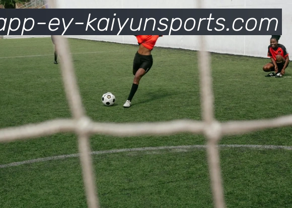 开云体育平台生态图